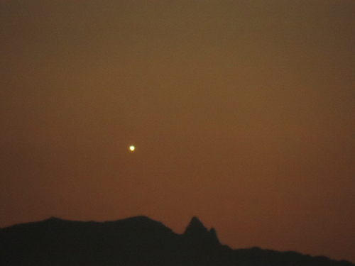 e0321032_2146848.jpg