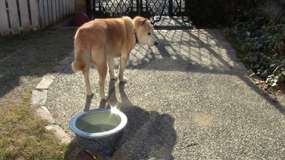 f0023634_1022440.jpg