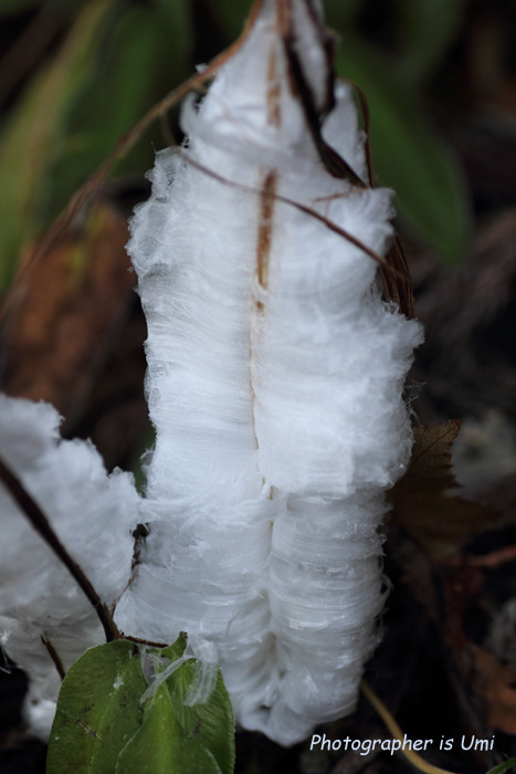 e0083238_22172550.jpg