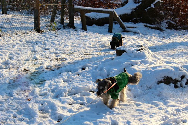 c0153740_20115356.jpg