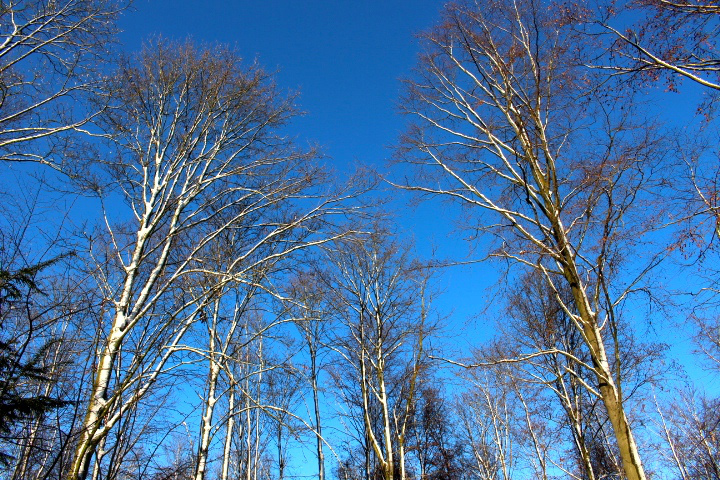 c0153740_201298.jpg