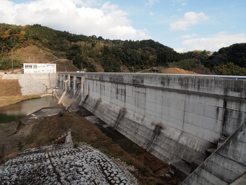 b0199742_1652299.jpg
