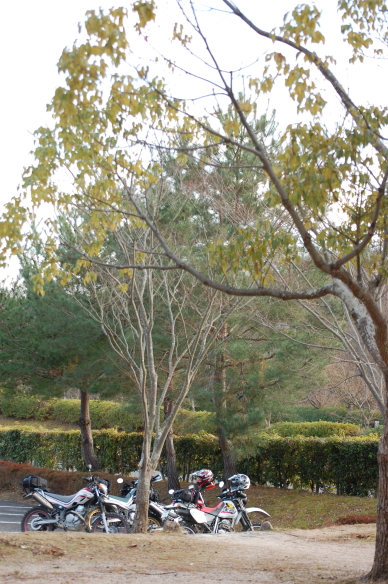 c0339546_1811418.jpg