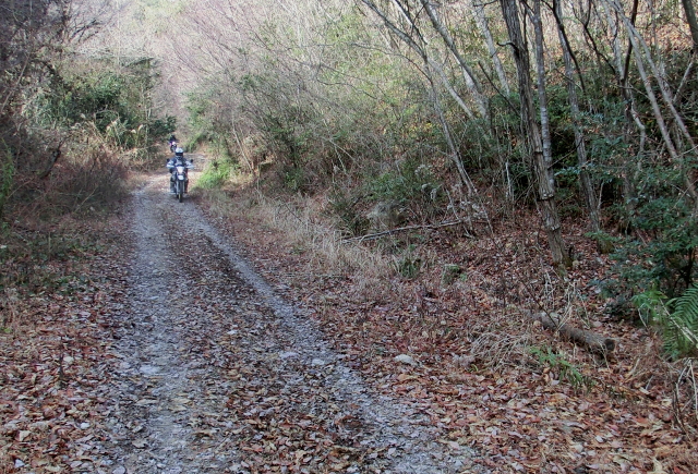 c0339546_1833142.jpg