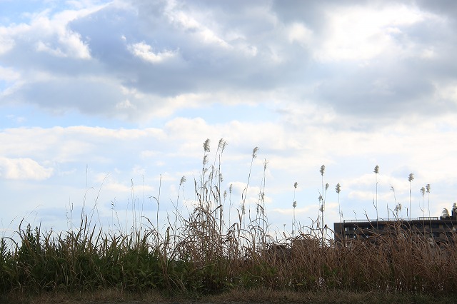 f0288049_2247168.jpg