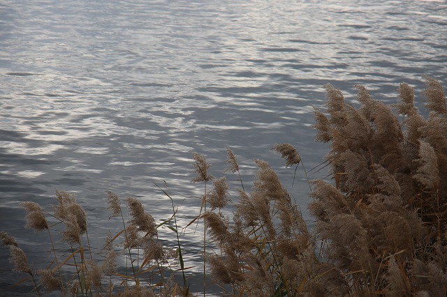 f0288049_22473685.jpg