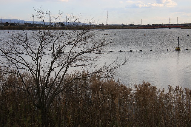 f0288049_22474666.jpg