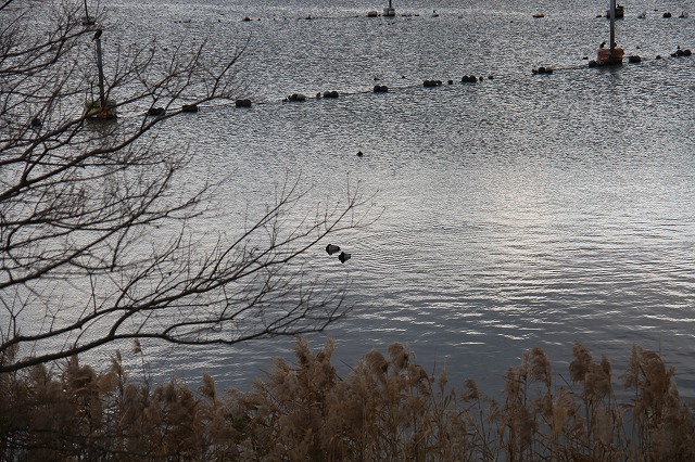 f0288049_22475791.jpg