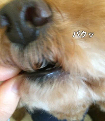 f0269163_12301863.jpg