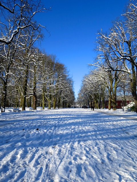 c0194065_22555546.jpg