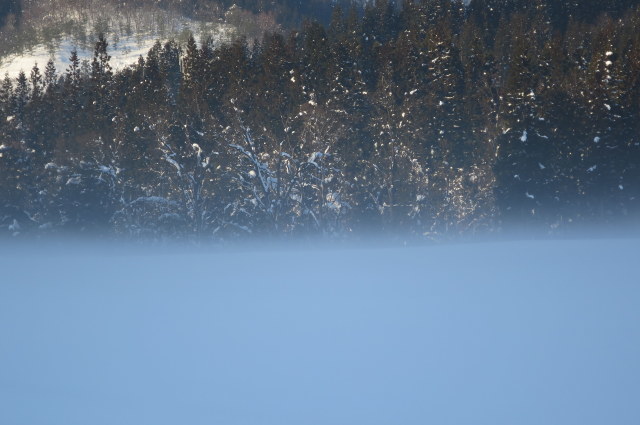 a0214206_00233300.jpg
