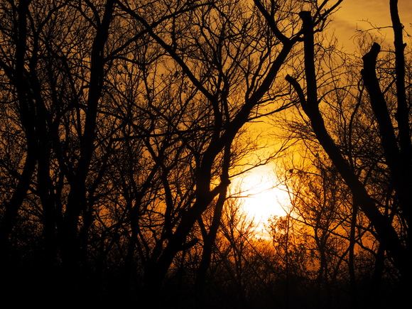 f0302208_1749166.jpg