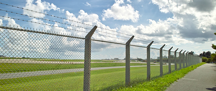 d0174710_23455928.jpg