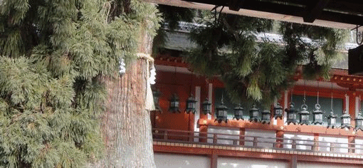 d0330311_195533.gif