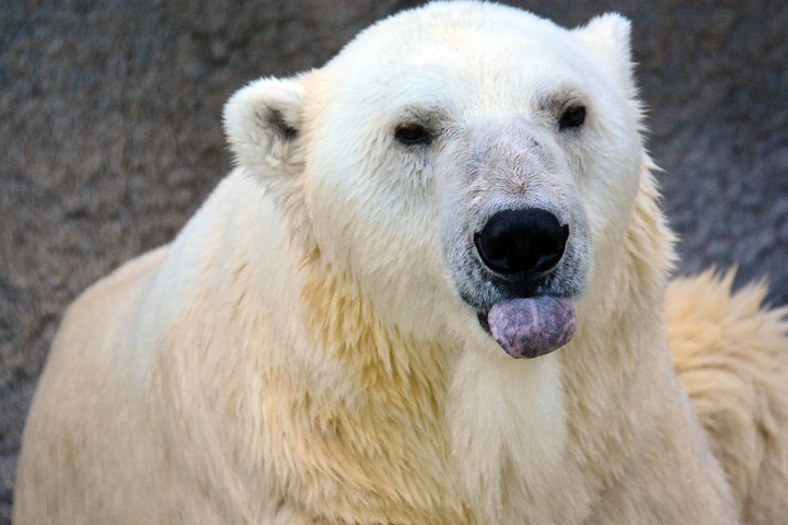 a0151913_1356389.jpg