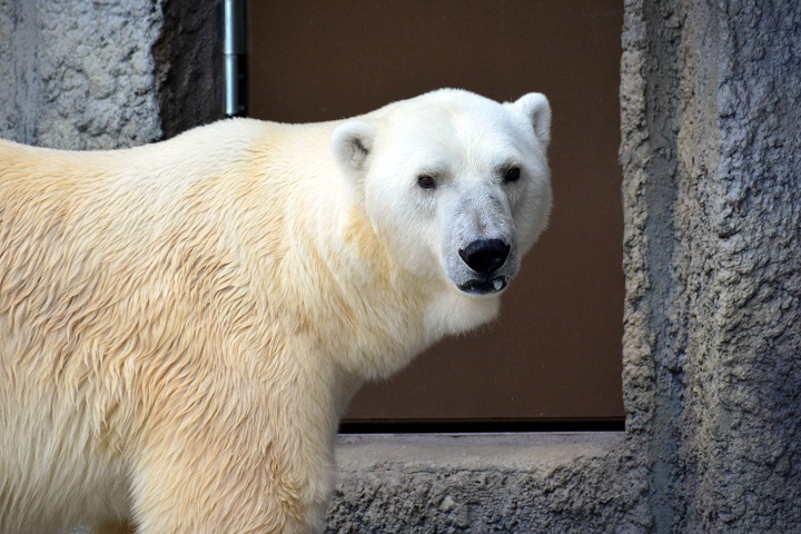 a0151913_13564239.jpg