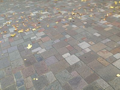 d0251120_15272470.jpg
