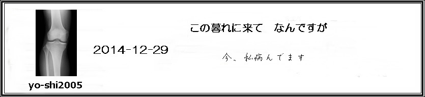 e0033229_211151100.jpg