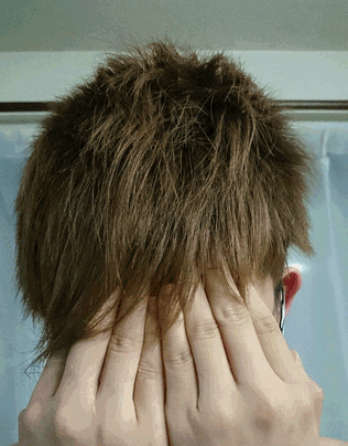 c0136736_20431141.gif