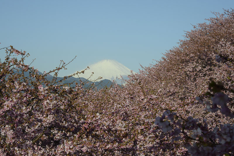 b0042837_20204672.jpg