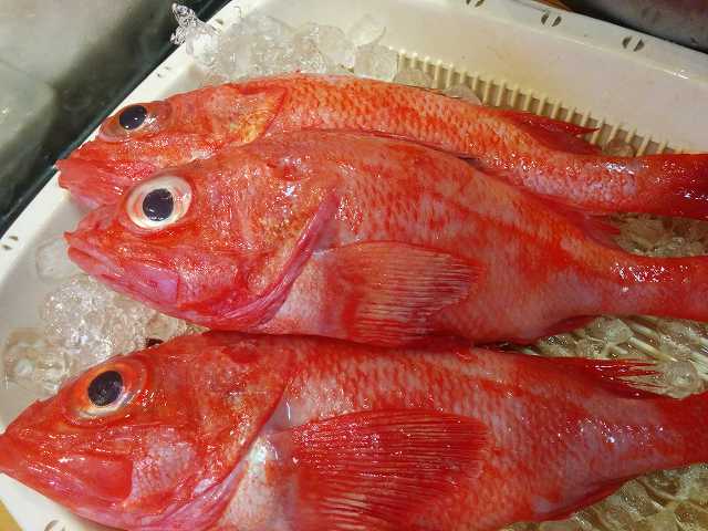 f0208737_820873.jpg