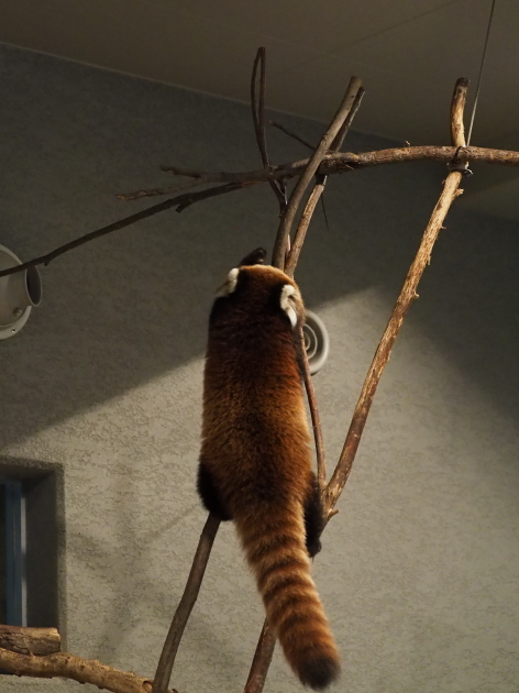 a0149740_1164323.jpg