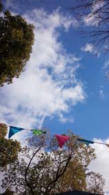 b0187042_6562958.jpg