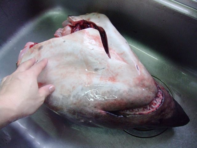 e0290546_22255278.jpg