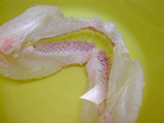 e0290546_22295177.jpg