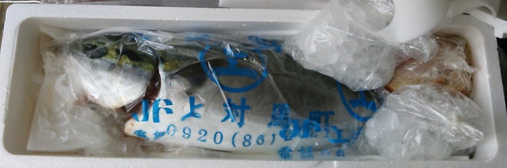 f0087347_0504631.jpg