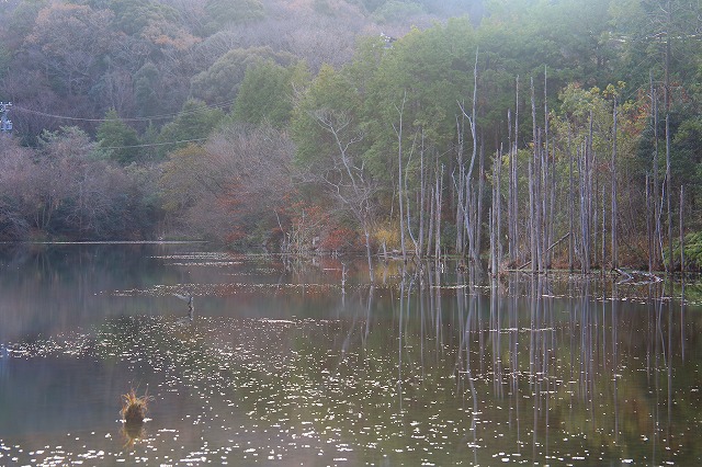 f0288049_22271845.jpg
