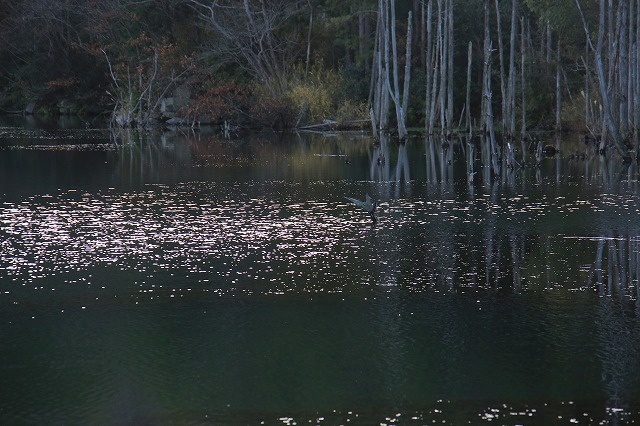 f0288049_22272679.jpg