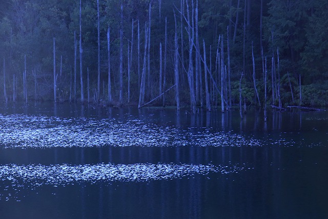 f0288049_22273286.jpg