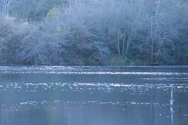 f0288049_22273910.jpg