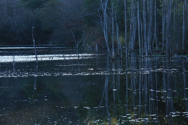 f0288049_22274884.jpg