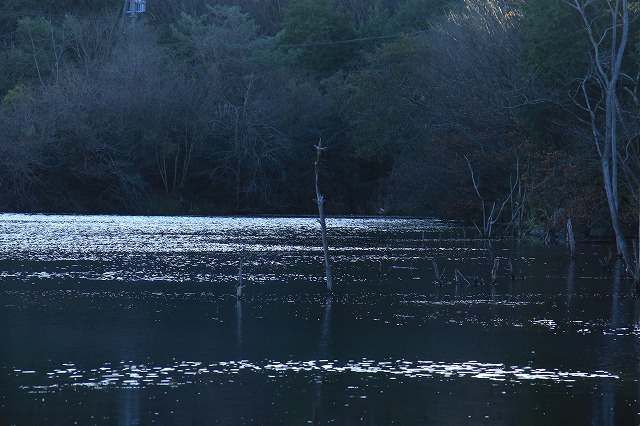 f0288049_22281187.jpg