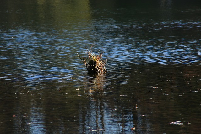 f0288049_22281875.jpg