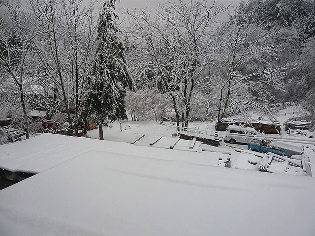 c0223959_14145729.jpg