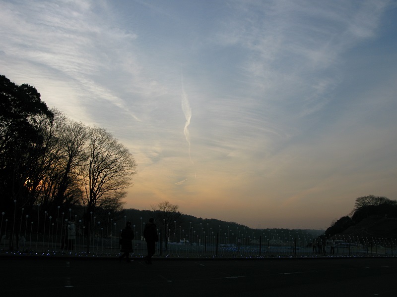 a0052762_1624011.jpg