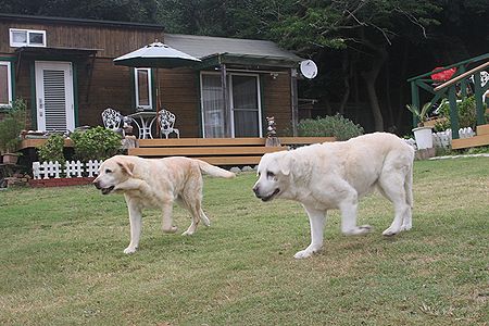 b0094265_20234410.jpg