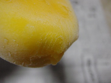 b0225187_25353.jpg