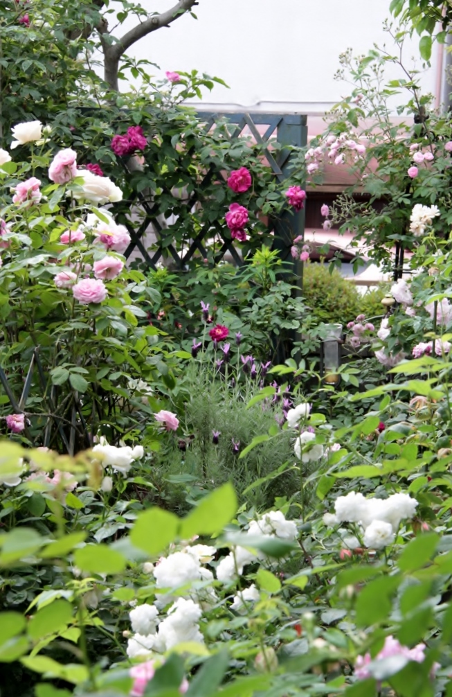 d0166303_23491171.jpg