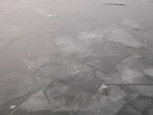a0140305_0384126.jpg