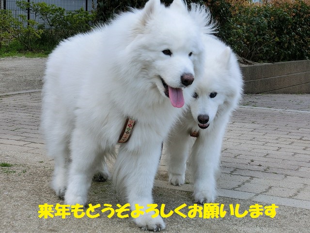 e0196135_1423193.jpg