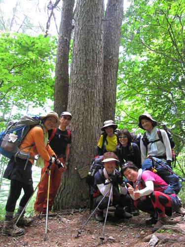 f0060535_21354157.jpg