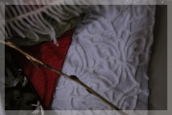 a0245136_015770.gif