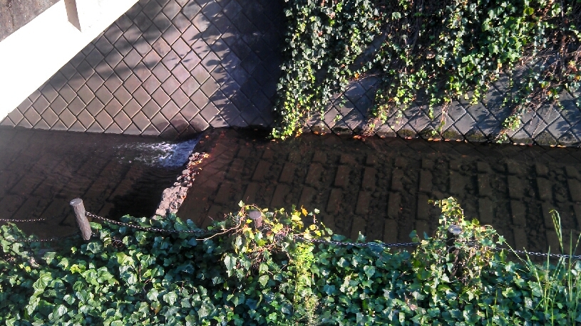 f0231250_00061759.jpg