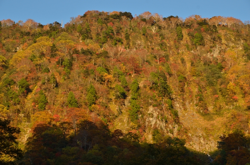 a0263952_4234691.jpg
