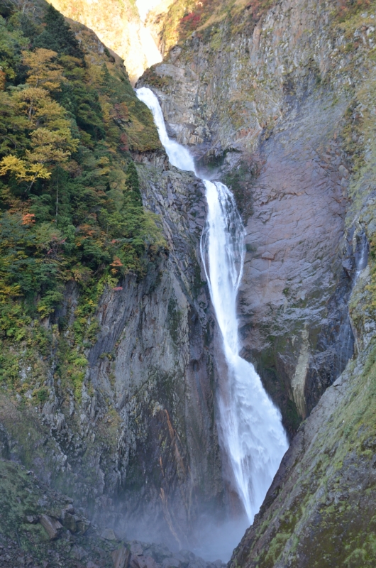 a0263952_42378.jpg