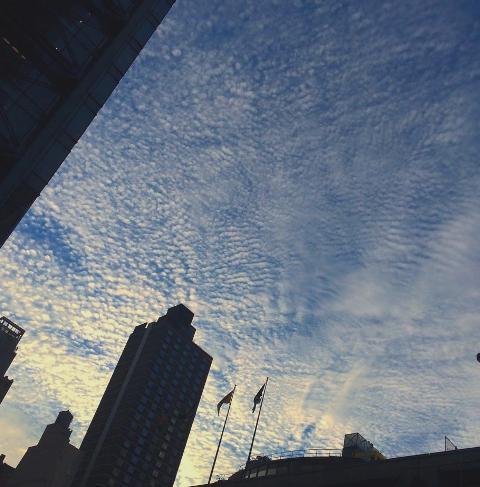 b0173754_15490395.jpg